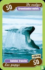 groenlandse walvis