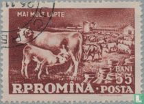 Agricultural organization