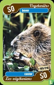 bever