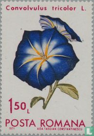 Flowers for sale