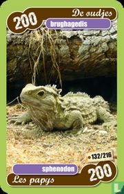 brughagedis