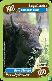 europese bizon