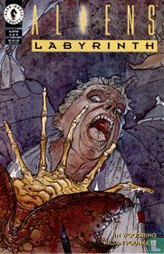 Labyrinth 3