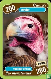 oorgier