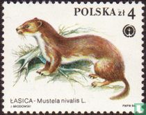 Protected fur animals