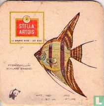 Natuurbescherming Vissen : Pterophyllum Scalare Eimekei