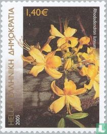 Blumen kaufen