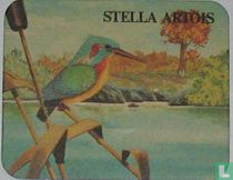 Dieren: IJsvogel