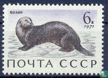 Sea animals