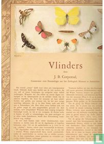 Vlinders