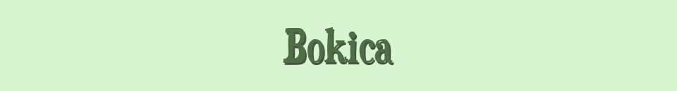 1 article à la vente chez Bokica