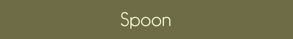 1 article à la vente chez Spoon