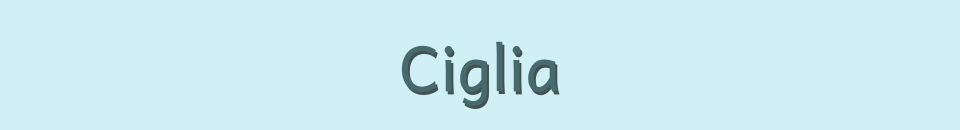 1 article à la vente chez Ciglia